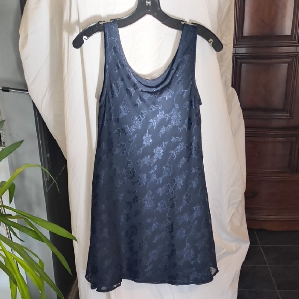 Express Navy Blue Garment